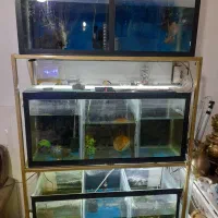 اکواریوم سه طبقه یک متری