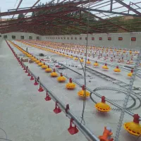 تجهیزات مرغداری|ماشین‌آلات صنعتی|اهواز, نادری|دیوار