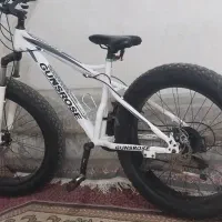 دوچرخه ساحلی لاستیک پهن (نونو)