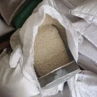 برنج طارم محلی بروجرد علی کاظمی