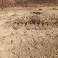 کود گاوی و کود مرغ خالص
