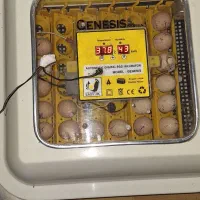 دستگاه جوجه کشی ایزی جیک