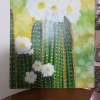 تابلو بوم زیبا