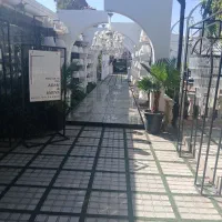 یه نفر ظرف شور و مهماندار