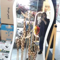 تولید و پخش انواع آیینه قدی