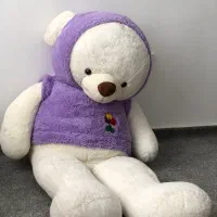 شاسخین