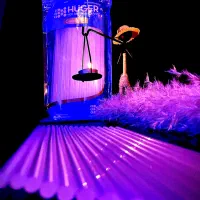 بازاریابی چسب