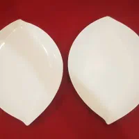 جفت دیس سرامیکی ارکروک