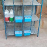 قفس جفت خونه