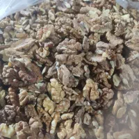 مغز گردوی متوسط