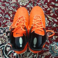 کفش سالنی|تجهیزات ورزشی|بم, |دیوار