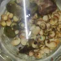 لجن خوار