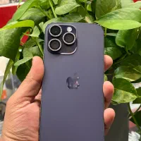 Iphone 14 pro|موبایل|شیراز, گود عربان|دیوار