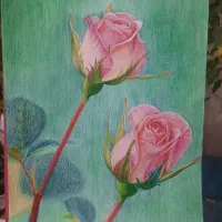 نقاشی مداد رنگی