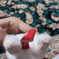 لبوبو رنگ سفید|اسباب‌‌بازی|مشهد, هدایت|دیوار