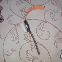 ساعت هوشموند گلوریمی|ساعت|پاکدشت, پاکدشت (مامازند)|دیوار