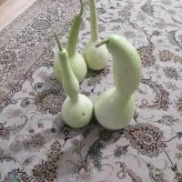 کدو قلیونی|صنایع دستی و سایر لوازم تزئینی|شیراز, شهرک صادقیه|دیوار