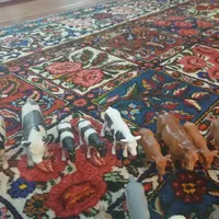 اسباب بازی حیوانات با تخفیف ویژه|اسباب‌‌بازی|شاهین‌شهر, عطار|دیوار
