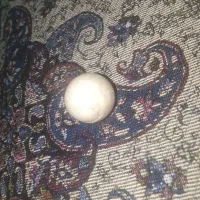 سنگ|کلکسیون اشیاء عتیقه|اصفهان, دانشگاه اصفهان|دیوار