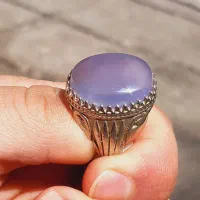 شجر|بدلیجات|شیراز, شاپورجان|دیوار