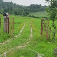 اجاره روزانه ویلا