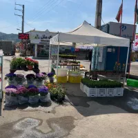 الاچیق سایبان تاشو چادر برزنت چتر کد۹۹