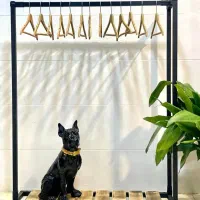 اویز لباس و کفش