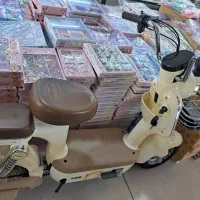 موتور برقی پاکشتی دونفره