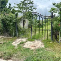 2000متر-بامجوز-گلخانه-گاز-شصتکلا