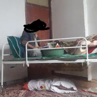 بالشت کارکرده بخاطر ایزی لایف پدرم فروش