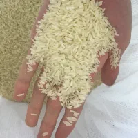 برنج نوک سیاه شمال خراسان|خوردنی و آشامیدنی|تهران, مرزداران|دیوار