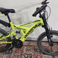 دوچرخه بیست