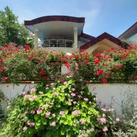 خدمات به دانشجویان عراقی