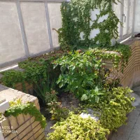 فروش خانه دو طبقه ی بزرگ  در قلعه نو بلوار اتحاد|فروش خانه و ویلا|شیراز, قلعه نو|دیوار