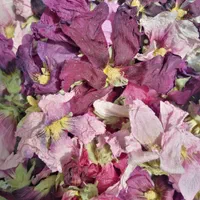 گل ختمی و پونه کوهی|خوردنی و آشامیدنی|کر, |دیوار