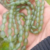 تسبیح شاه مقصود دانه درشت