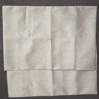 روبالشتی ۱۸۰تومن