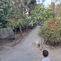 خونه-ویلایی-به-مساحت-400متر-با-یک-دهنه-مغازه