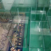 اکواریم متنوع