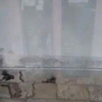 لوازم ساختمانی