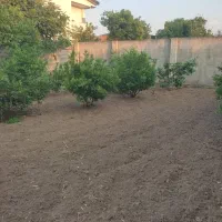 باغچه سند دار + مسکونی + روستایی