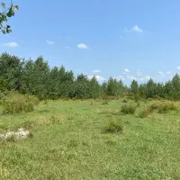 فروش زمین صنعتی محصور سند دار ۴۶۲۴ متری|فروش زمین و ملک کلنگی|لاهیجان, بازکیاگوراب|دیوار