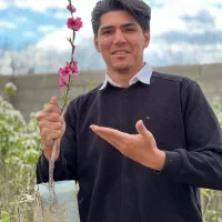 نهالستان معین