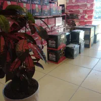 نمایندگی باطری سحری (باطی سبک سنگین uPS  کشاورزی)