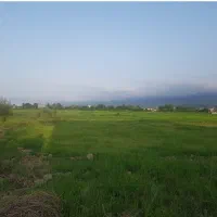 فروش یک هکتار زمین مزروعی سنتی
