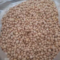 نخود ریز دانه