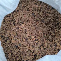 کشمش تیزآبی کشمش آفتابی گله کشمش پلویی مویز کشمش|خوردنی و آشامیدنی|مشهد, امیریه|دیوار