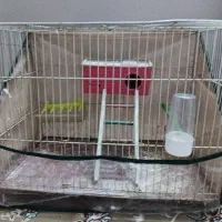 قفس قناری سالم