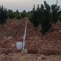 فروش باغ شخصی دالین