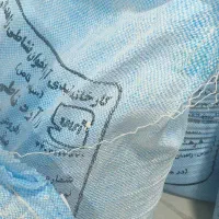 یک شاطر حرفه ای